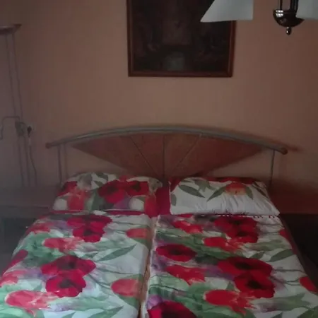Anna Apartman 公寓 Sárvár